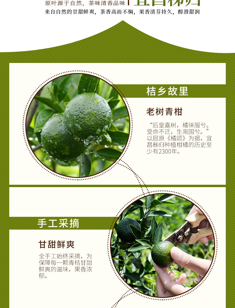 湖北宜昌长盛川青桔茶10g·8颗