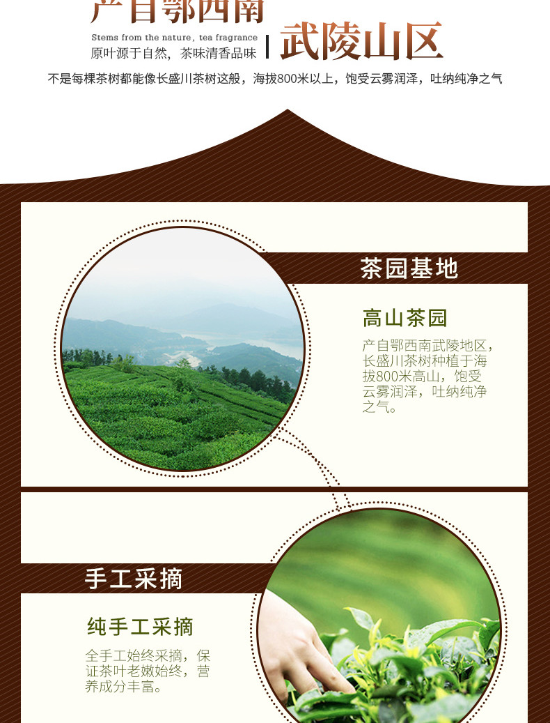 湖北宜昌长盛川青桔茶10g·8颗