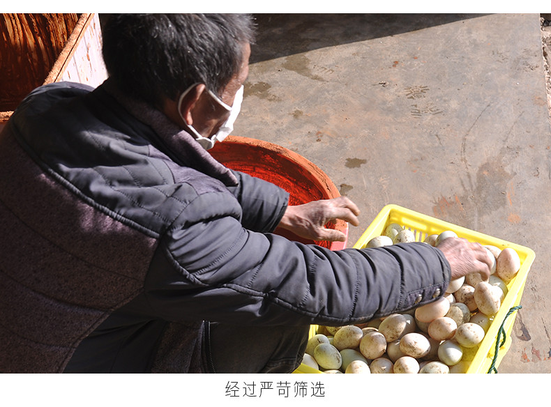 白荡里 枞阳特产红泥腌制熟咸鸭蛋20枚礼盒装1200g