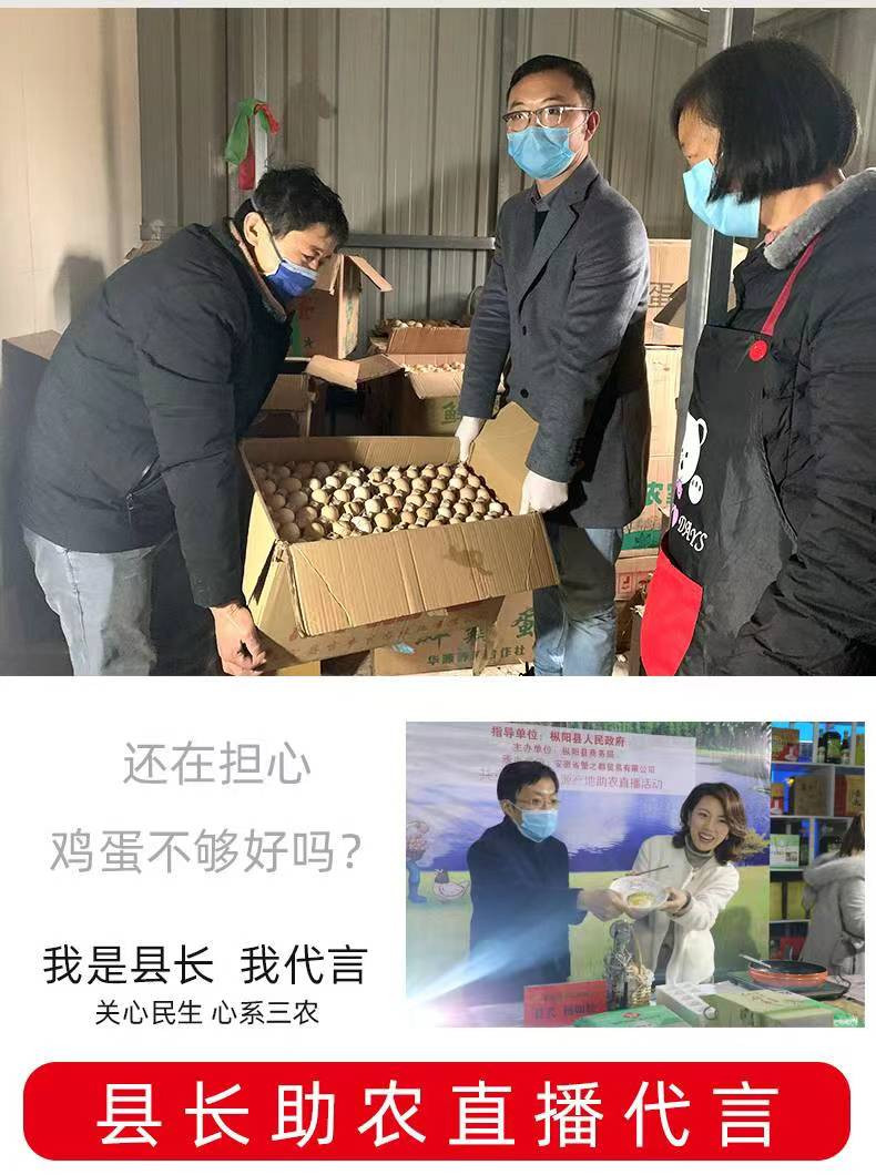 白荡里 农家土鸡蛋山林散养吃谷物虫草蛋现捡现发