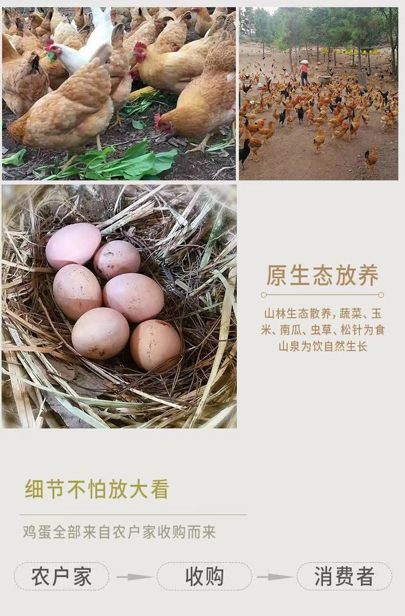 白荡里 【邮乐官方直播间】正宗农家新鲜散养土鸡蛋鲜鸡蛋40枚
