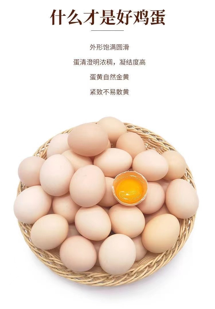 白荡里 【50克大蛋】农家散养谷物虫草鸡蛋 40枚