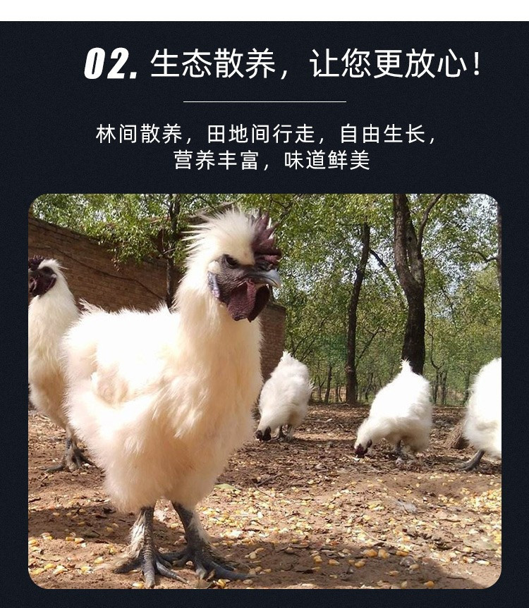 农家自产 【长兴振兴】农家散养乌鸡新鲜冷冻现杀拍5发6