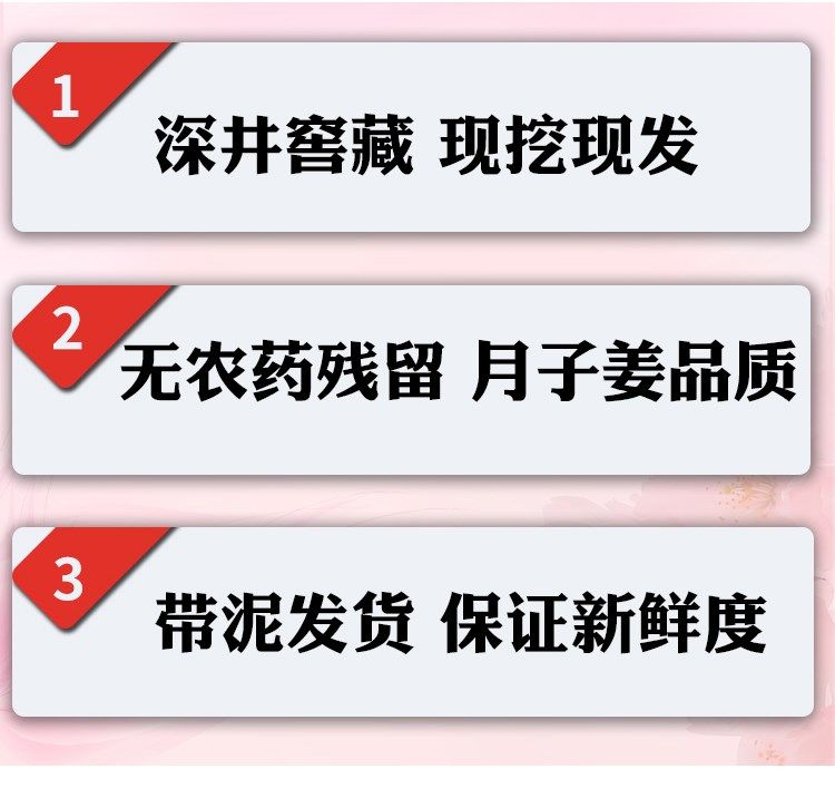 【现挖现发】山东生姜新鲜大黄姜老姜生姜月子姜生姜批发2/5/8斤