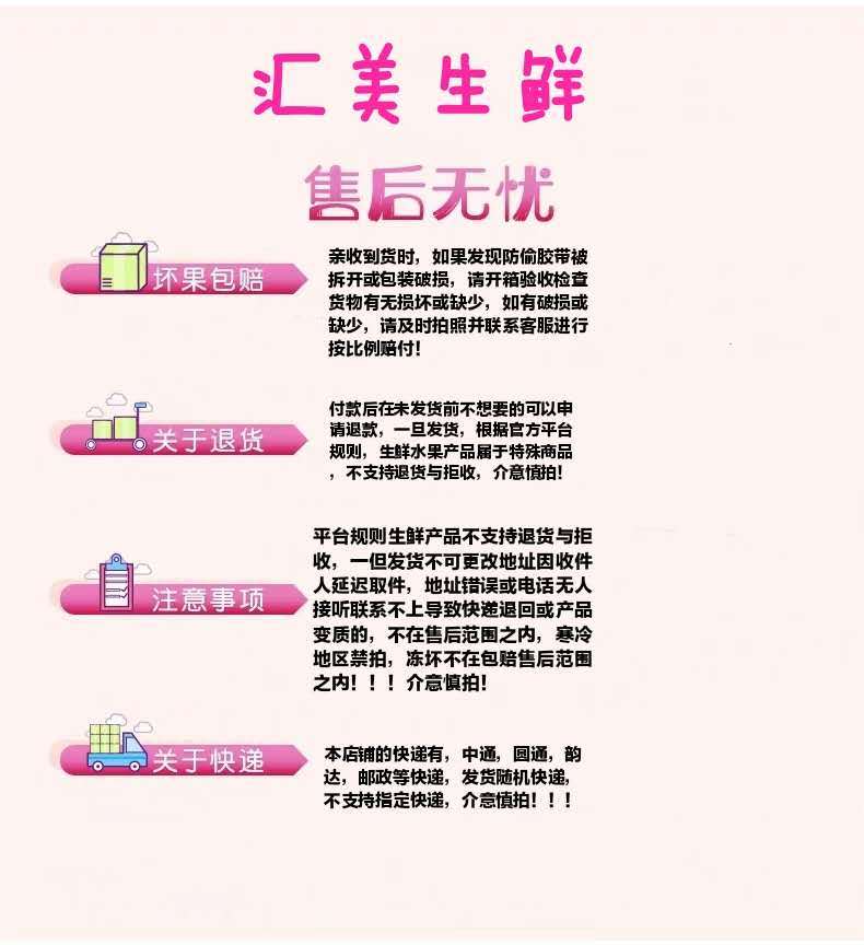 【五斤】现拔新鲜紫皮洋葱水果甜洋葱农家自种圆葱头新鲜蔬菜