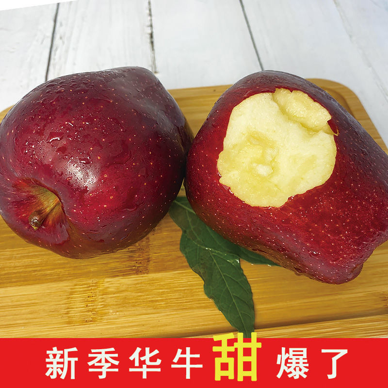 天水花牛苹果整箱3/5/10斤粉面刮泥应季现摘新鲜水果蛇果【飞哥美食】