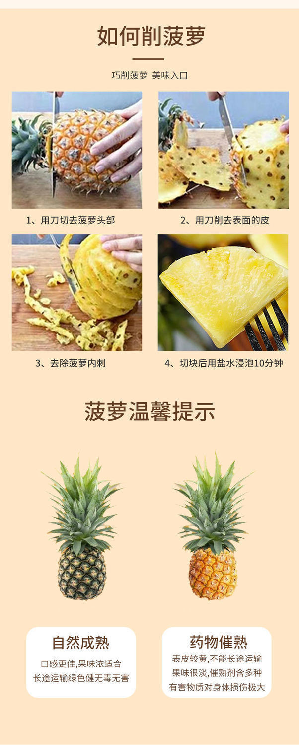 【9斤】广东徐闻香水菠萝 水果精品应季超甜新鲜水果非台湾凤梨【小老头美食】