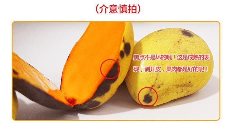 【9斤大果】海南小台农芒果 新鲜应当季水果自然熟热带甜心芒整箱包邮【华洛美食】