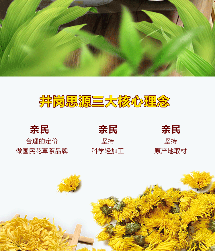 富元山 赣南 皇菊橙乡 三百山菊花茶15g