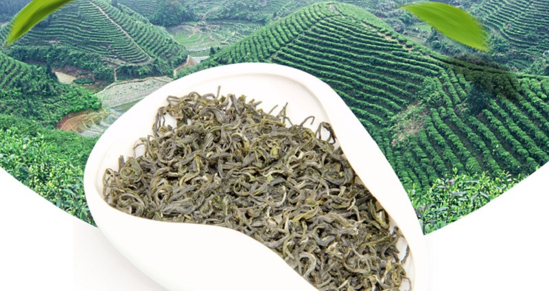 富元山 江西赣南高山绿茶安远百山源茶叶100g/罐