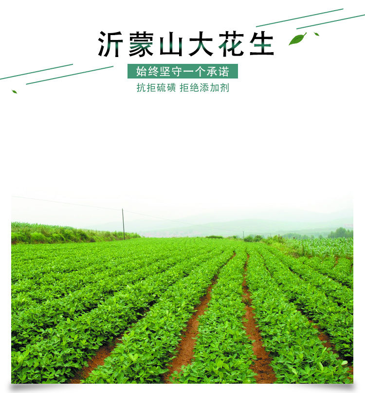 山东香酥多味蒜香奶油五香花生米熟250克1斤装炒货下酒菜零食批发