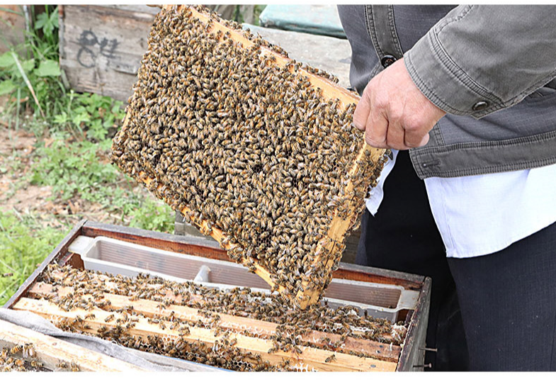 蜂蜜天然正品纯野生深山百花蜜农.家自产自销自然成熟封盖土蜂蜜