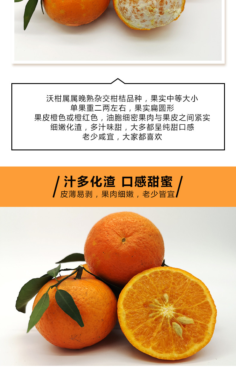 农家自产 沃柑 纯甜四川柑橘水果新鲜当季应季整箱包邮椪柑有籽