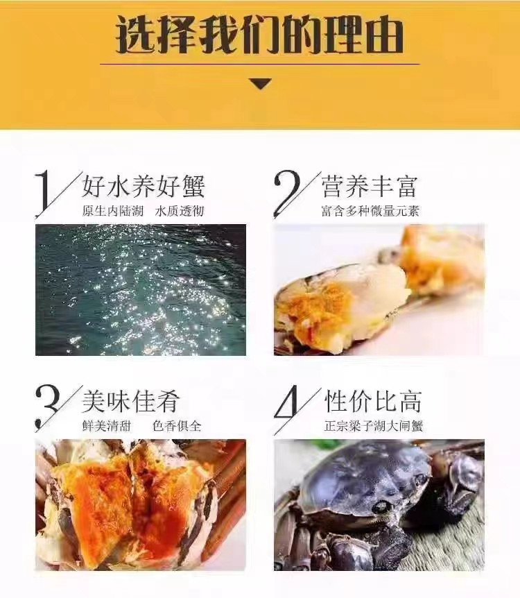 农家自产 湖北鄂州 梁子湖区大闸蟹