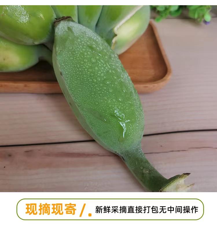 农家自产 高州苹果蕉