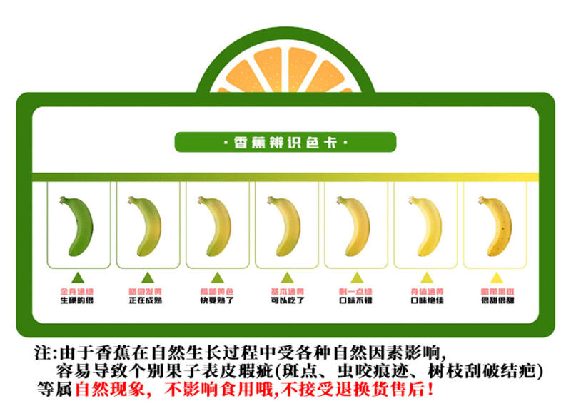 农家自产 高州遁地蕾香蕉