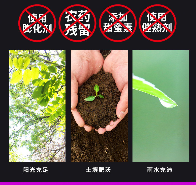 瓦豆 沙地紫薯 3斤新鲜当季蔬菜粗粮紫罗兰紫薯粉糯红薯