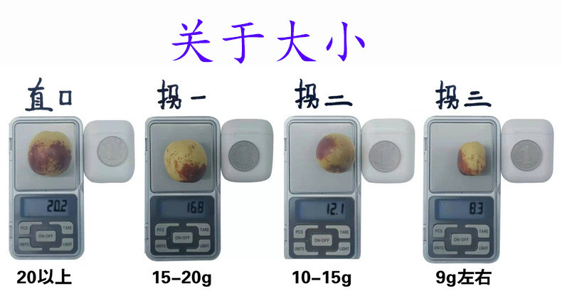 瓦豆 陕西大荔鲜冬枣新鲜水果时令生鲜大枣脆枣甜枣4斤精选装