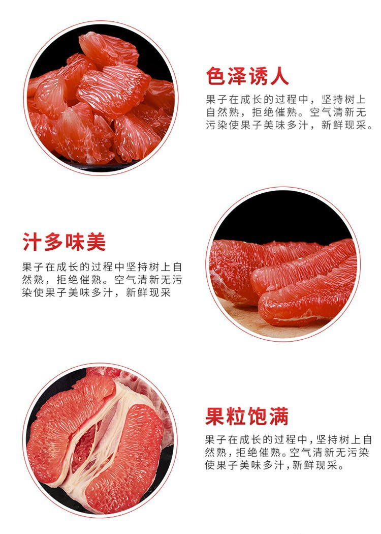 瓦豆 红心柚子红肉蜜柚新鲜柚子水果新鲜水果果园现摘红心蜜柚