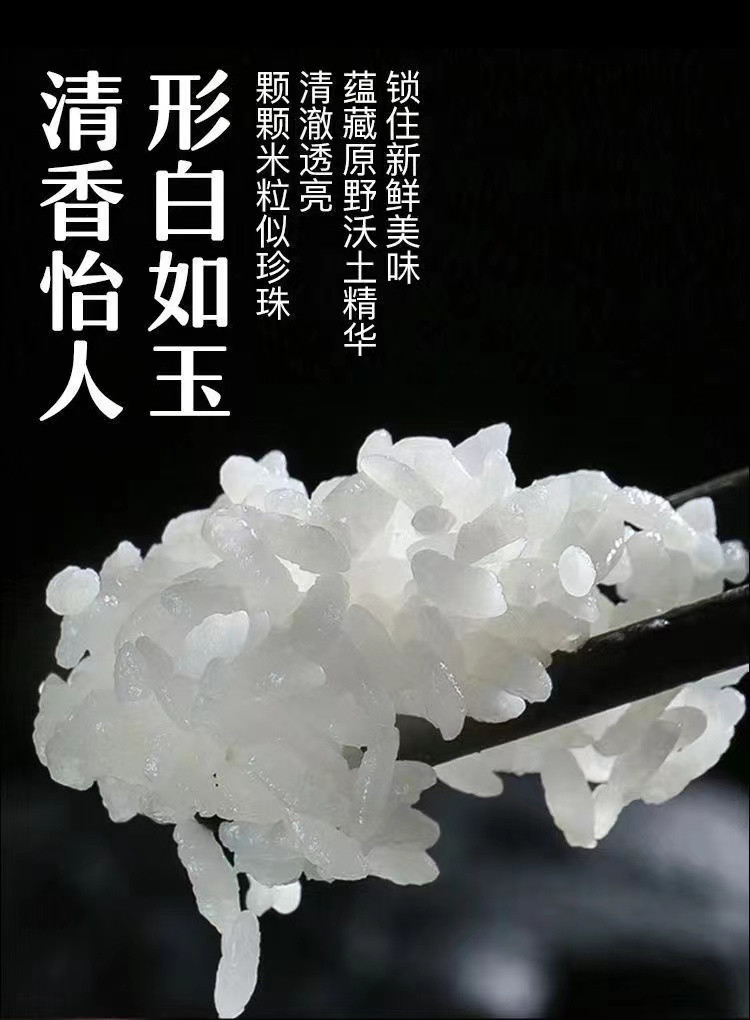 东方紫 稻花香大米20KG