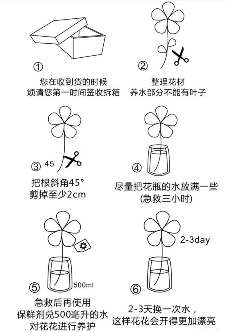 农家自产 农家自产 云南通海农家自种康乃馨基地直发节庆用