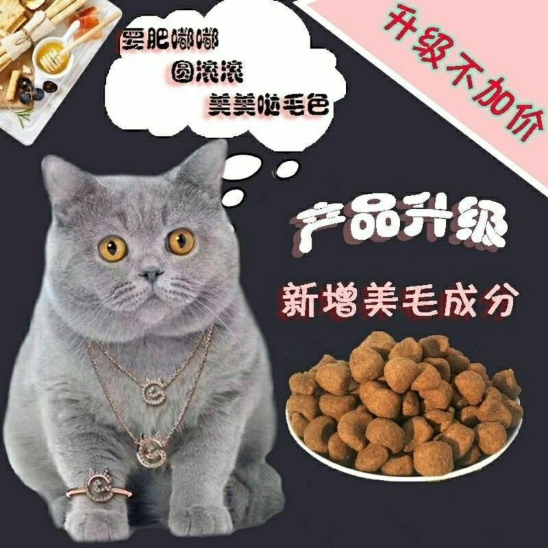 发腮猫粮大颗粒肉球猫粮5斤装小颗粒奶糕幼猫成猫变胖包子脸半斤