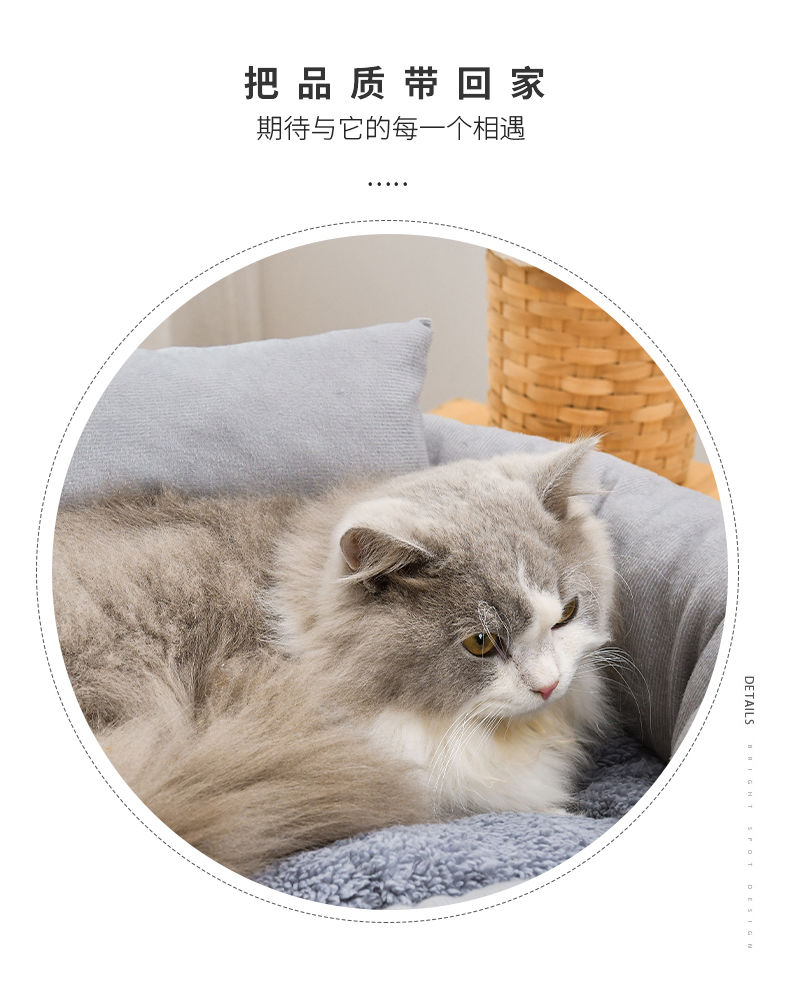 网红猫窝猫床加绒舒软猫窝猫咪睡垫猫咪软窝猫咪用品宠物四季猫垫