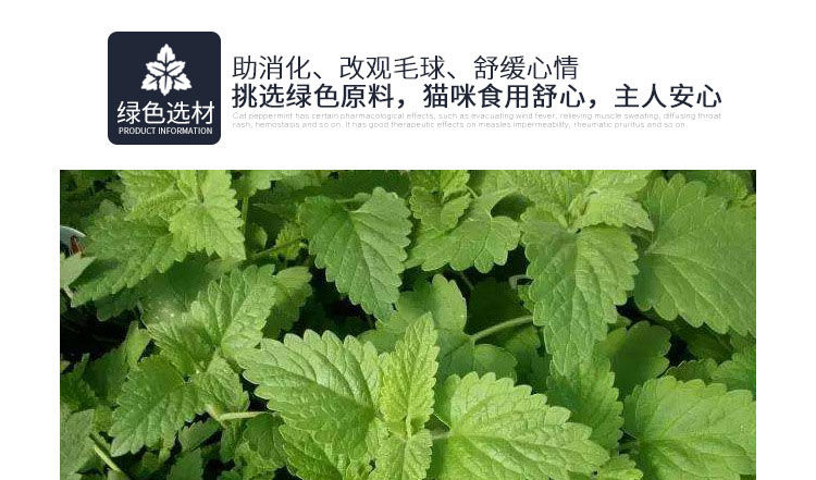 猫糖舔舔乐猫薄荷球幼猫零食磨牙玩具旋转猫薄荷球大力丸能量球