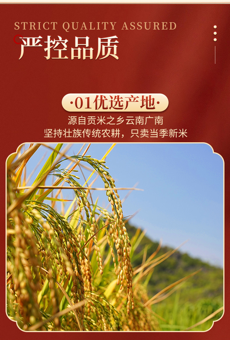 八宝贡 云南文山清香软米 一季稻新米 长粒香大米 清香软糯