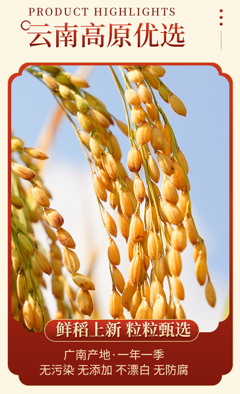 八宝贡 清香软米 一季稻新米 长粒香大米 清香软糯