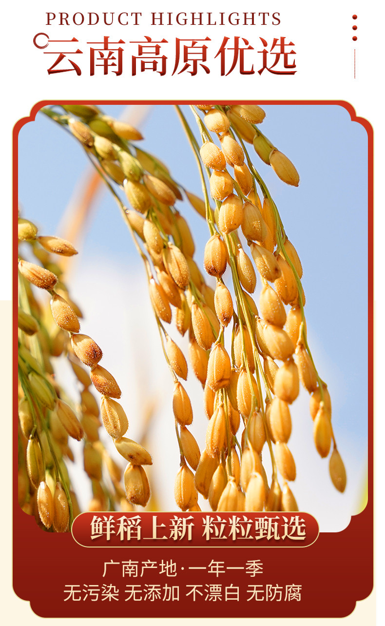 八宝贡 云南文山八宝贡长粒香软米 家米 一季稻新米