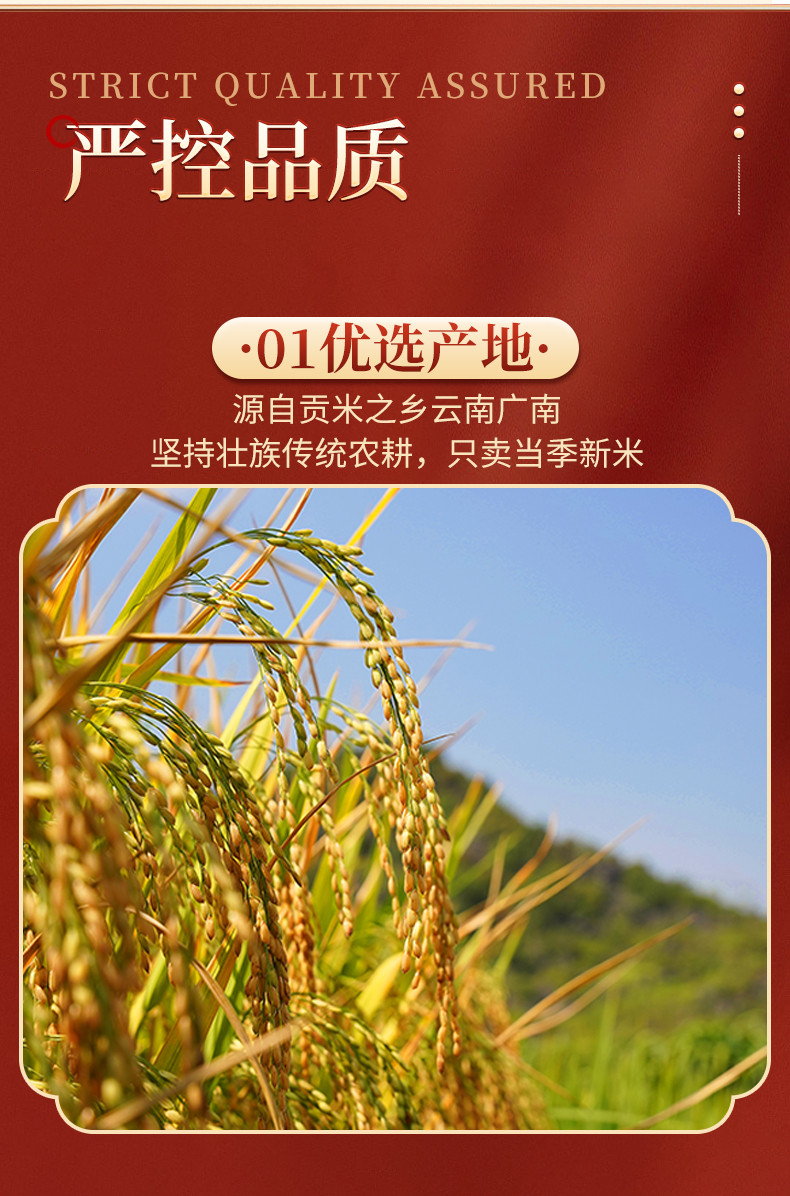 八宝贡 文山八宝贡长粒香软米 家米 一季稻新米