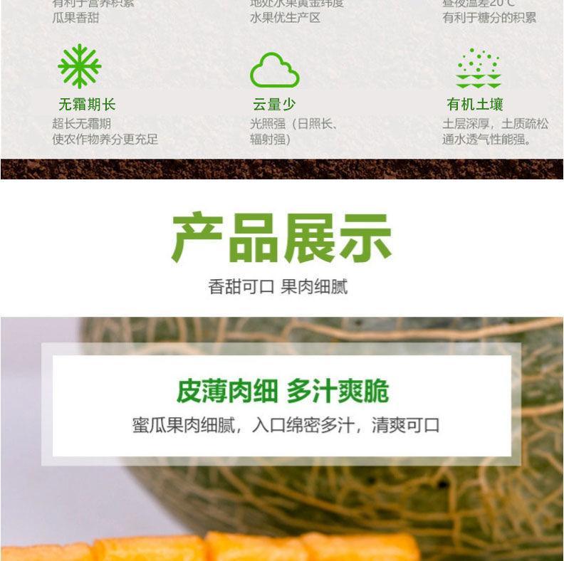 大牛哥 哈密瓜新鲜水果网纹瓜甜蜜瓜一箱西州蜜3/5/9斤大果