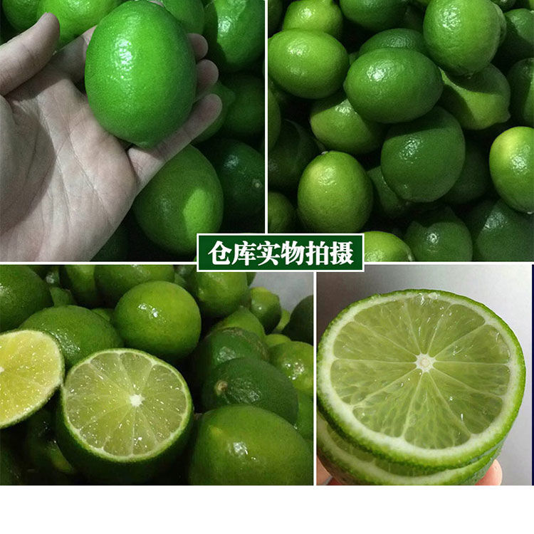 大牛哥 大牛哥 【一级大果】无籽青柠檬皮薄多汁香水柠檬新鲜水果独立包装小青柠【大均良品】