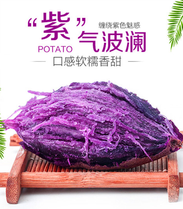 大牛哥  新鲜紫薯地瓜紫色番薯粗粮辅新鲜蔬菜紫薯【大均良品】