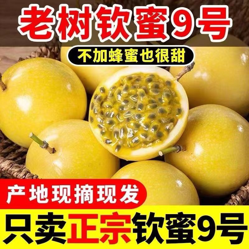 大牛哥 现货当季百香果 紫皮/黄金果整箱包邮【大均良品】