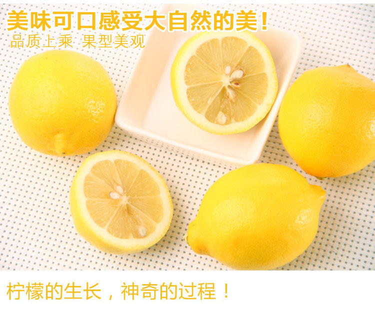 佳怡康 四川安岳黄柠檬一级果皮薄多汁当季水果香柠檬大中小整箱包邮
