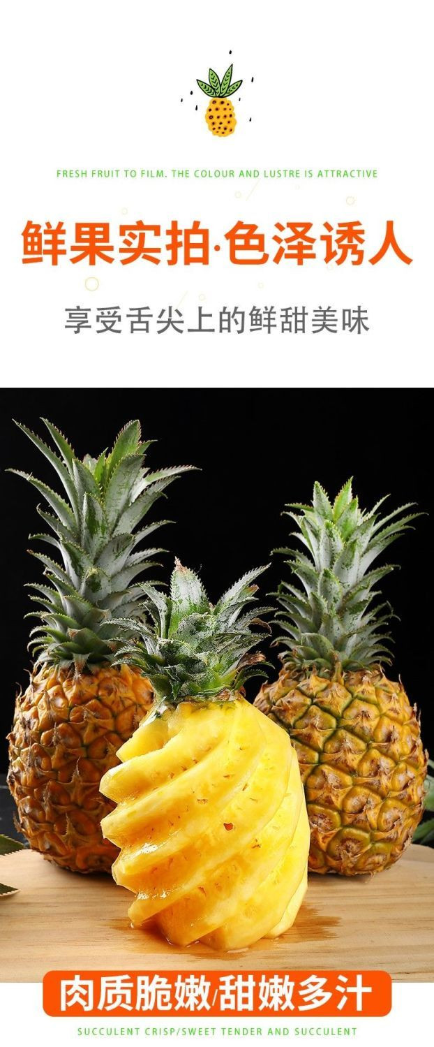 佳怡康 【领券立减6元】正宗徐闻大菠萝10斤新鲜水果大果