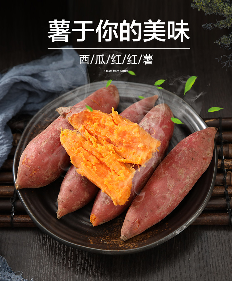 佳怡康 【领券立减10元】西瓜红蜜薯红薯沙地红蜜薯红心红薯3/5/10斤