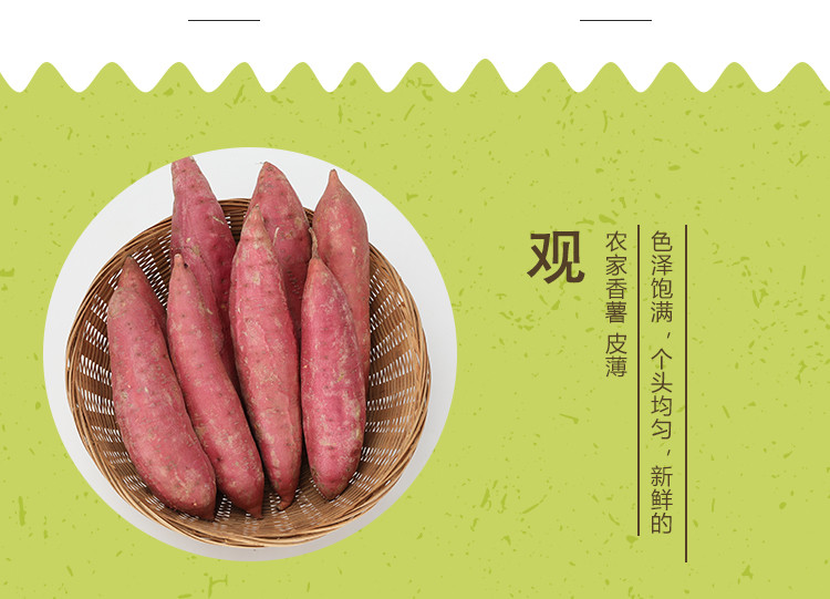 佳怡康 【领券立减10元】西瓜红蜜薯红薯沙地红蜜薯红心红薯3/5/10斤