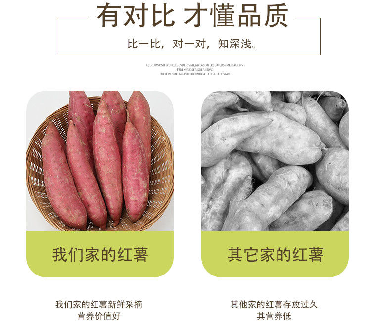 佳怡康 【领券立减10元】西瓜红蜜薯红薯沙地红蜜薯红心红薯3/5/10斤