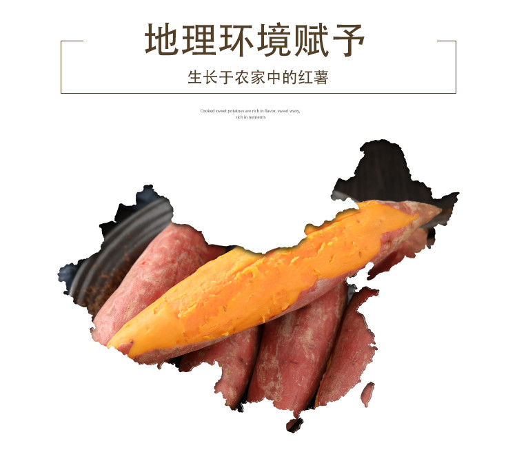 佳怡康 【领券立减10元】西瓜红蜜薯红薯沙地红蜜薯红心红薯3/5/10斤