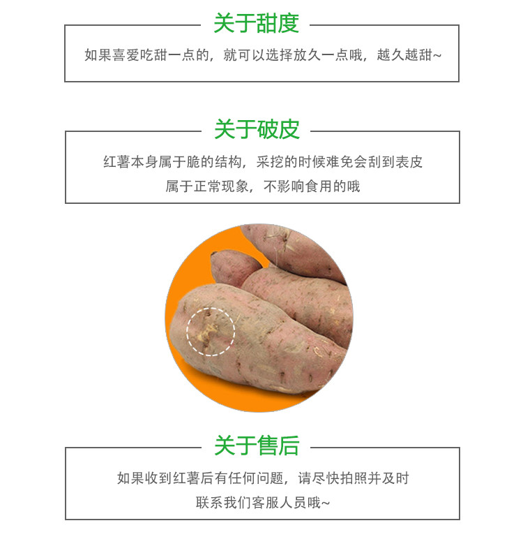 佳怡康 【领券立减10元】西瓜红蜜薯红薯沙地红蜜薯红心红薯3/5/10斤