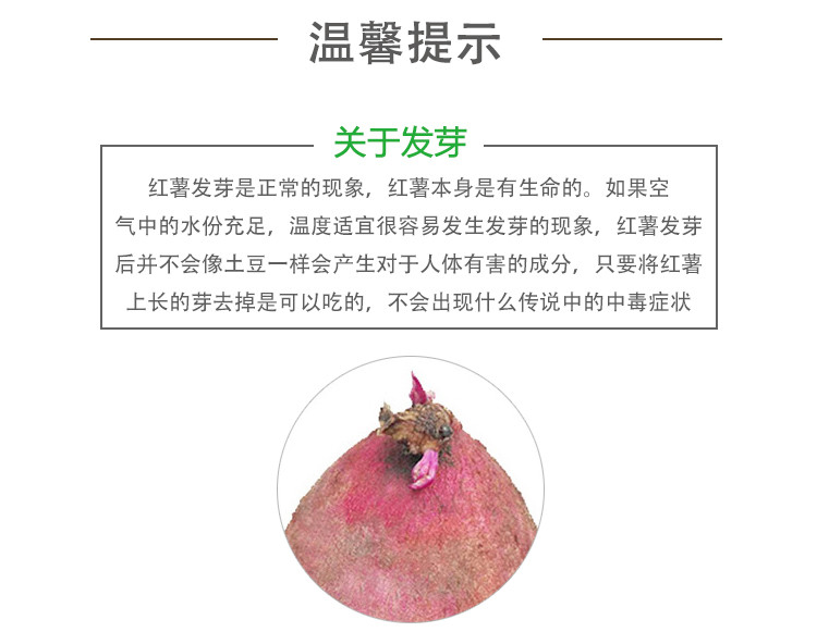 佳怡康 【领券立减10元】西瓜红蜜薯红薯沙地红蜜薯红心红薯3/5/10斤