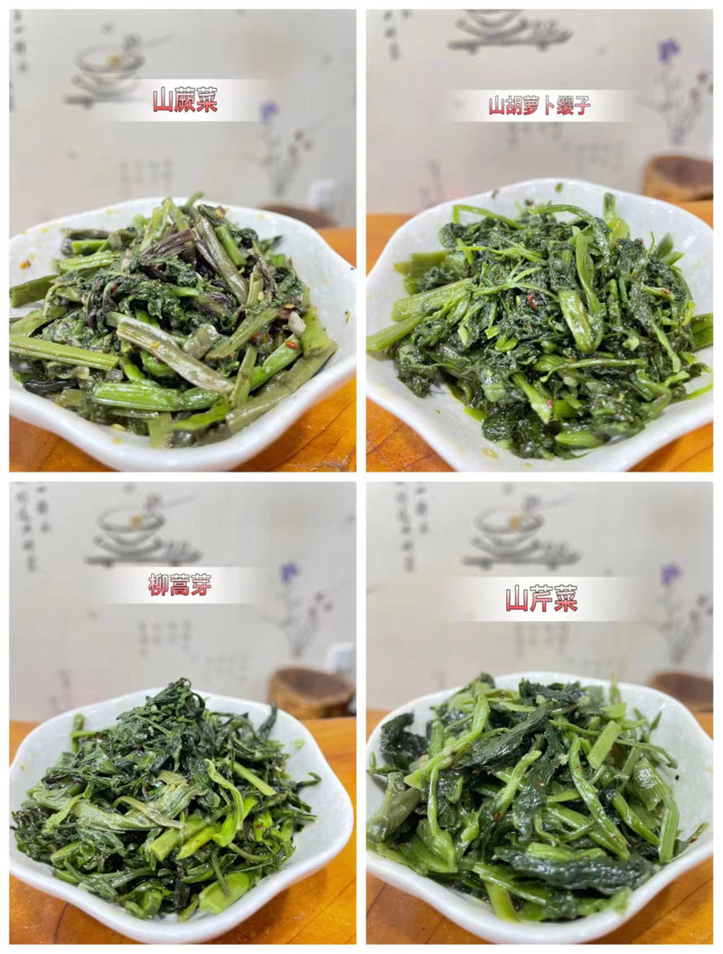 邮惠农 靖宇山野菜（山蕨菜、柳蒿芽、山胡萝卜樱子、山芹菜）