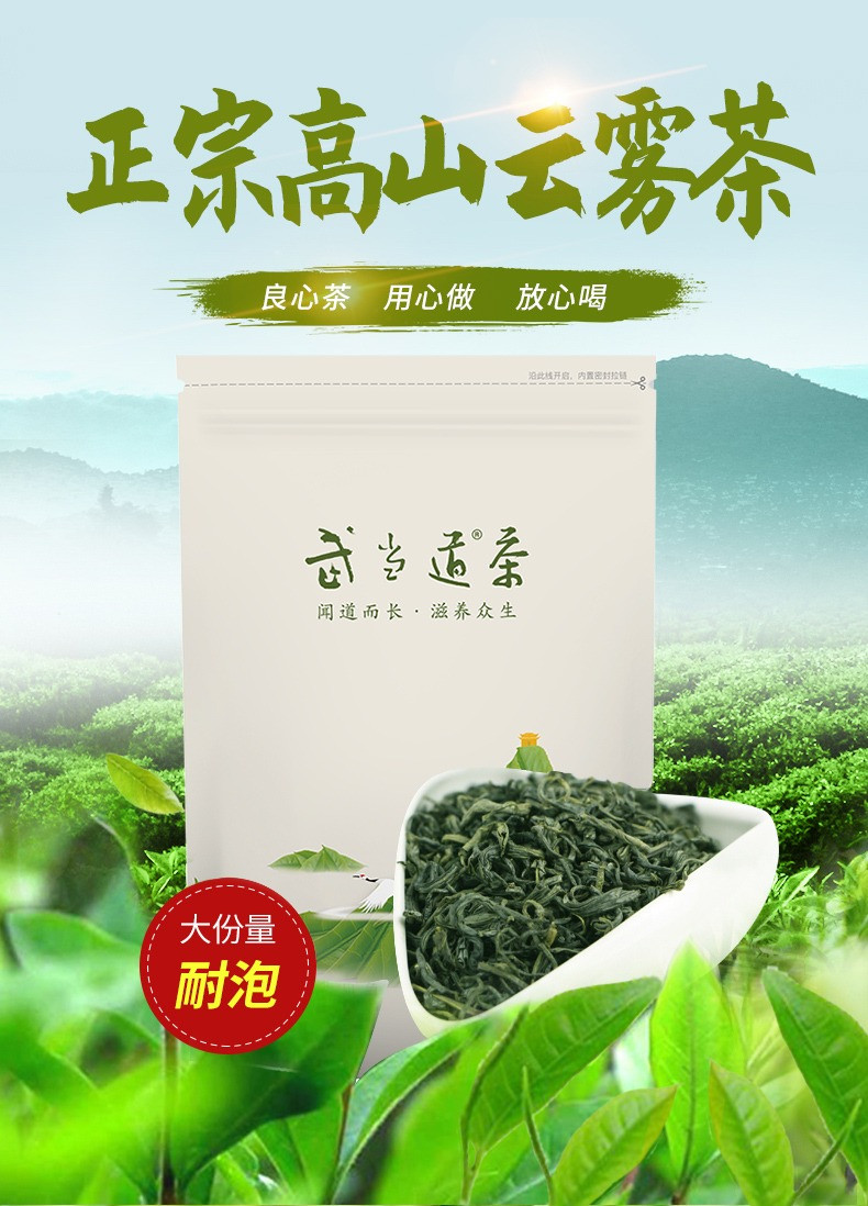 武当道茶 2023新茶十堰武当山茶精选口粮茶叶湖北云雾浓香绿茶100g