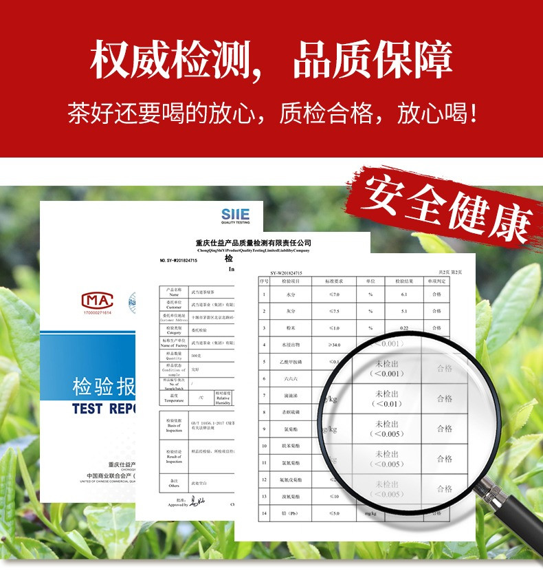 武当道茶 2023新茶十堰武当山茶精选口粮茶叶湖北云雾浓香绿茶100g