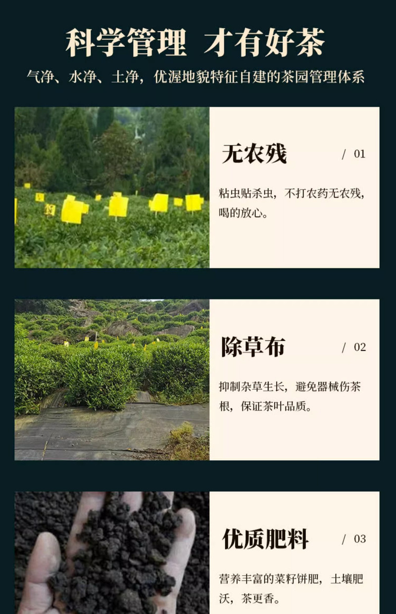 武当道茶 武当道茶 天然绿茶【太极翠峰】200g礼盒高山云雾香浓型绿茶茶叶