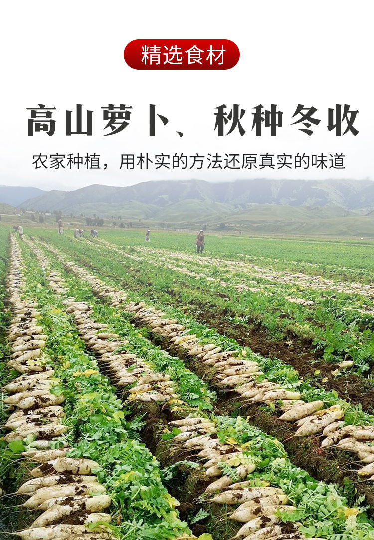 暖冬大促 自贡特产信宽麻辣萝卜干250g*2袋 香辣脆爽下饭神器