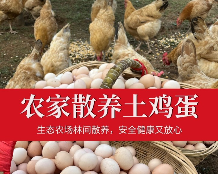 蒲农荟 农家散养土鸡蛋笨鸡蛋柴鸡蛋现捡现发30枚